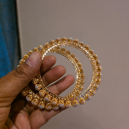 Arohi - ad bangles with gj polish